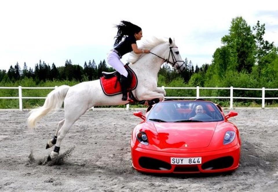 Ferrari and a white stallion