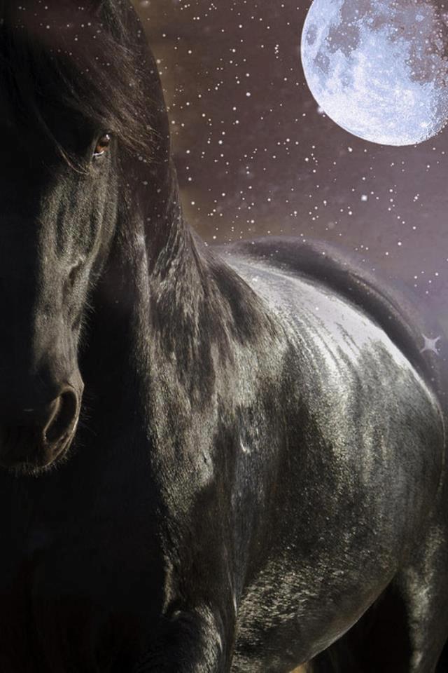Horse and the moon