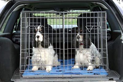 Cages come in all shapes and sizes