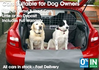 Cars for Dog Owners