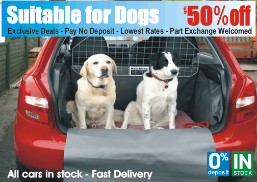 Cars for Dog Owners